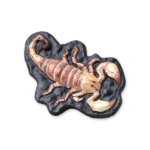 Set turnare si pictura - animale infricosatoare SES — изображение 2