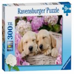 Puzzle Cateluse in cosulet RAVENSBURGER