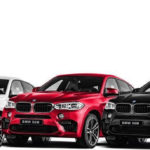 Masina BMW X6 1:24 Rastar in assort.