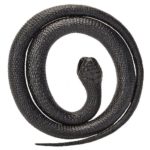 Sarpe Mamba 117 cm Wild Republic