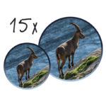 Telescop NAVIR - imagine 5