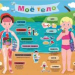 Puzzle - "40 Educational" 4+ Corpul meu RU Trefl