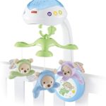 Masina cu telecomanda visul fluturelui  Fisher-Price Mattel
