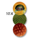 Microscop Spider Eye NAVIR - imagine 4