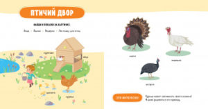 Cartea principala a copilului. Animale domestice CLEVER — изображение 2