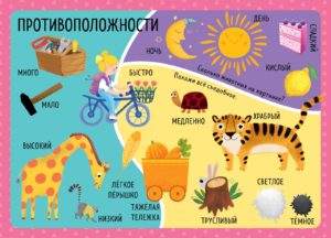 Primul meu vocabular. Lumea copiilor CLEVER — изображение 4