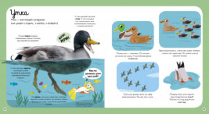 Cartea copilul despre animale CLEVER — изображение 2