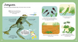 Cartea copilul despre animale CLEVER — изображение 3