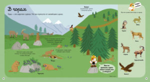 Cartea copilul despre animale CLEVER — изображение 4