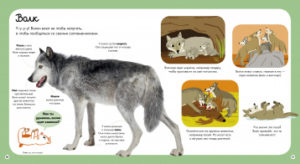 Cartea copilul despre animale CLEVER — изображение 5