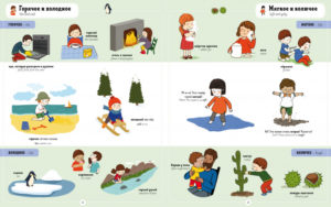 Eu invati engleza. 1000 primele cuvinte CLEVER - imagine 5