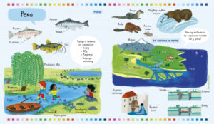 Cartea copilului. Natura si anotimpuri CLEVER — изображение 5