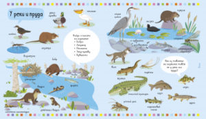 Cartea copilului. Animale CLEVER - imagine 2