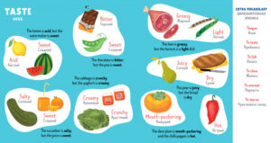 Invatam engleza. Opozitii CLEVER - imagine 2