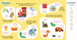 Invatam engleza. Opozitii CLEVER - imagine 3