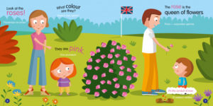 Invatam culori CLEVER — изображение 3