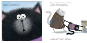 Pisicuta Smeac merge la doctor CLEVER — изображение 4