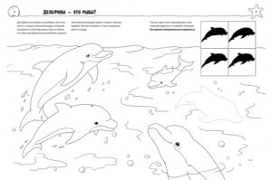 Cum? Pentru ce? De ce? Colorat. Animale marine CLEVER — изображение 2