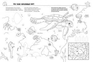 Cum? Pentru ce? De ce? Colorat. Animale marine CLEVER — изображение 3