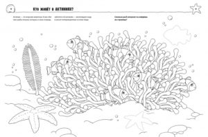 Cum? Pentru ce? De ce? Colorat. Animale marine CLEVER — изображение 4