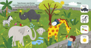 La gradina zoologica CLEVER — изображение 3