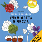 Coloram. Culori si cifre CLEVER