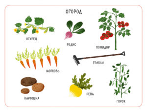 Loto logopedic. Invatam sunetele/ CLEVER — изображение 3