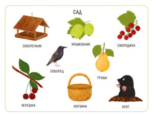 Loto logopedic. Invatam sunetele/ CLEVER — изображение 5