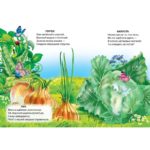 Ce creste in gradina CREDO - imagine 3