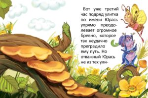 Carte Poveste Jumate de Curcubeu in Cadou TALANT — изображение 2