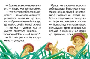 Carte Poveste Jumate de Curcubeu in Cadou TALANT — изображение 3