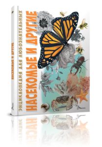 Enciclopedie Insecte TALANT