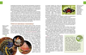 Enciclopedia pentru curiosi: Animale - Talant - imagine 2
