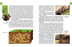 Enciclopedia pentru curiosi: Animale - inventatorii si constructorii Talant — изображение 4