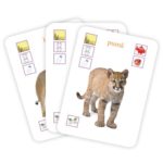 Carti de joc educative. Animalele. GAMA. - imagine 2