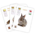 Carti de joc educative. Animalele. GAMA. - imagine 3