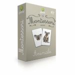 Carti de joc Montessori. Animale. Asocieri. GAMA, 2016.