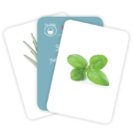 Carti de joc Montessori. Lumea plantelor/vocabular. GAMA, 2016. - imagine 3