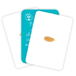 Carti de joc Montessori. Transformari din lumea vie/vocabular. GAMA, 2016. - imagine 3