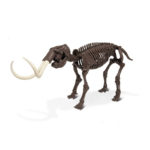 Schelet Mammuthus Geoworld - imagine 2
