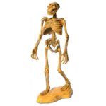 Schelet perioada Glaciara Geoworld in assort.