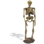 Schelet perioada Glaciara Geoworld in assort. - imagine 4