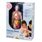 TORSUL UMAN Miniland