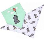 Baveta cu doua straturi (2buc) 0+ BabyOno