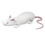 Jucarie Sobolan JOHNTOY