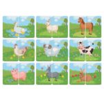 De la cap la coada Noriel - imagine 2