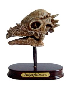 Set arheologic Pachycephalosaurus Spiegelburg - imagine 2