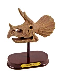 Set arheologic Triceraptor Spiegelburg - imagine 2