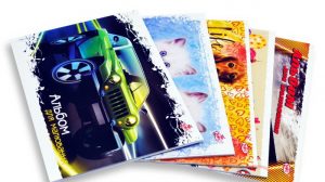 Album p/u desen 20 foi Brisk