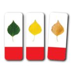 Triopuzzle. Succesiuni logice. GAMA - imagine 2